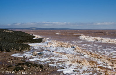 P6950-Hopewell Rocks.jpg