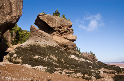 P6970-Hopewell Rocks.jpg