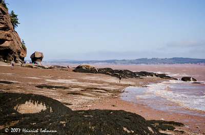 P7022-Hopewell Rocks.jpg