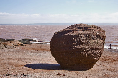 P7030-Hopewell Rocks.jpg