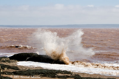 P7045-Hopewell Rocks.jpg