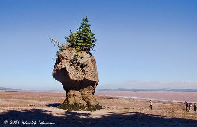 P7111-Hopewell Rocks.jpg