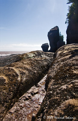 P7146-Hopewell Rocks.jpg