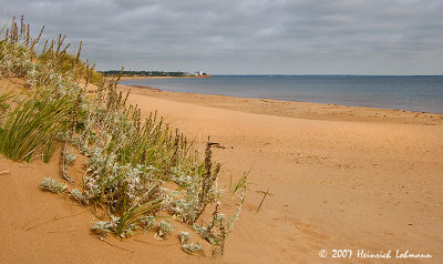 P8671-Panmure Head P.E.I.jpg