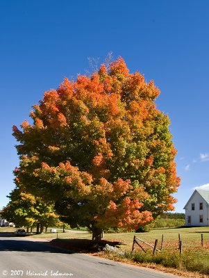 P9467-Nova Scotia.jpg