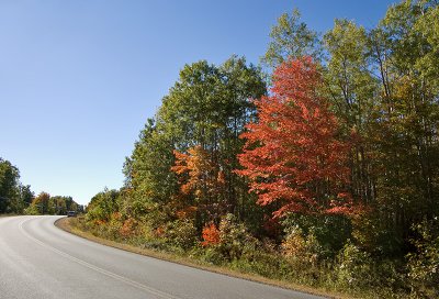 P9577-Nova Scotia.jpg