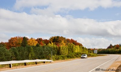 P9827-web.jpg