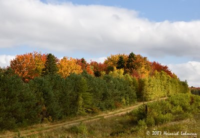 P9840-Nova Scotia.jpg