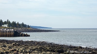 P9276-Nova Scotia.jpg