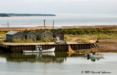 P8945-Wood Island P.E.I.jpg