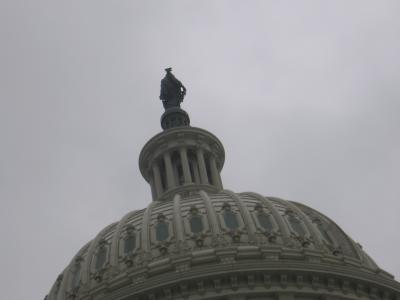 Statue of Freedom atop the Capitol.jpg