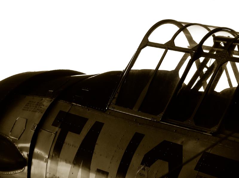 T6