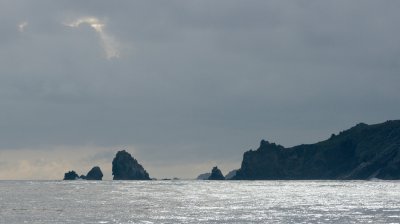 DPN2012_11Bis.jpg