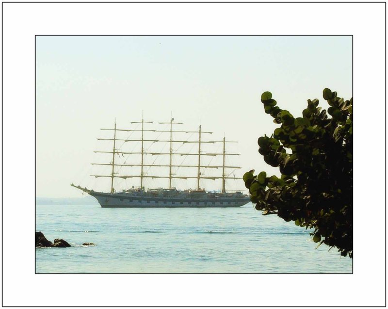 Royal Clipper