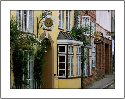 P1110176-copy.jpg
