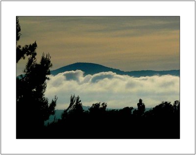 Low Clouds in the Valley