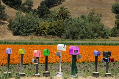 Countryside Mailboxes
