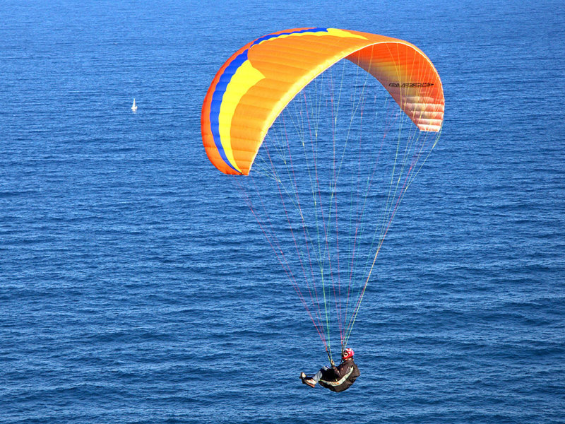Riding High<p><big>*Credit*</big>