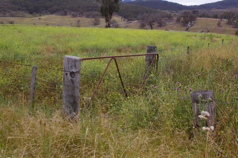 Closed Gate