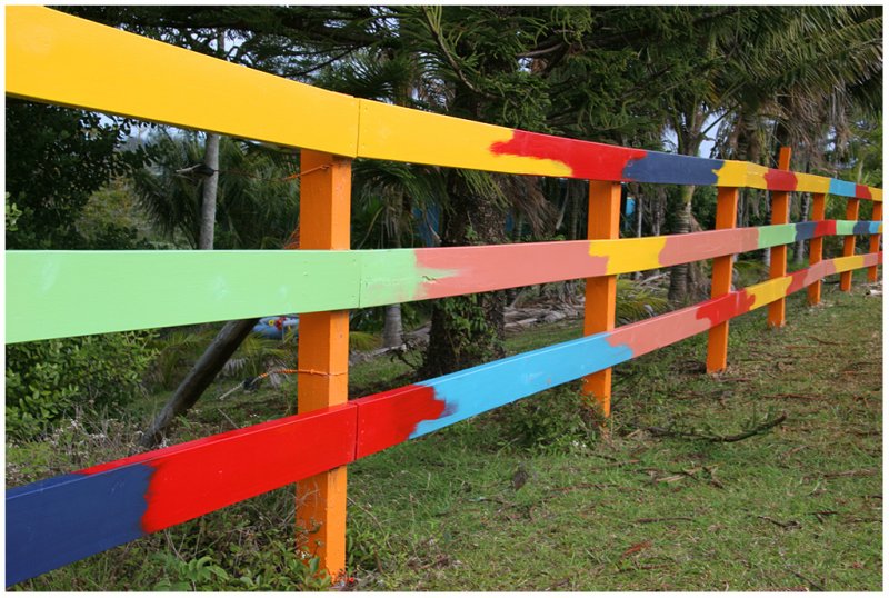 A Norfolk Island fence