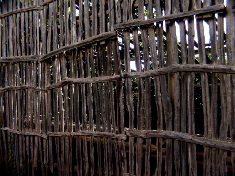 Fence<br><h4>*Credit*</h4>