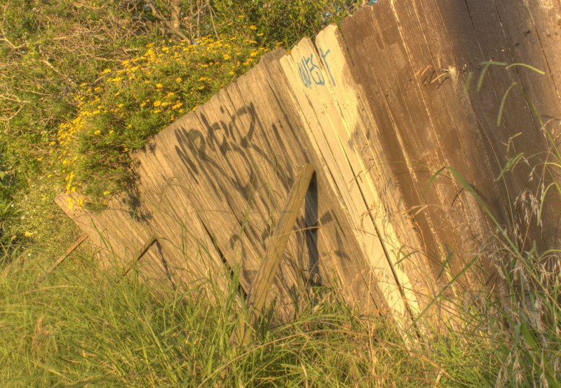 A Fine Fence<br><h4>*Credit*</h4>