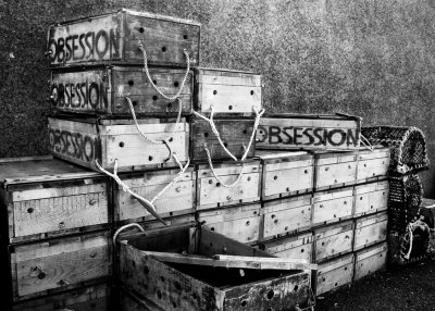 Obsessionby Ruth Brown