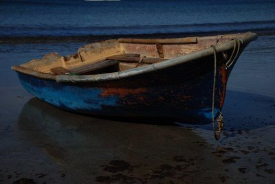 Old Blueby Allan Ford