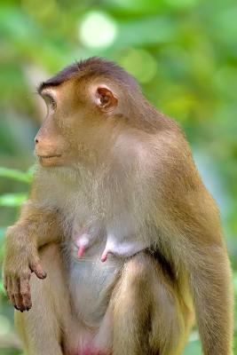 Picture of concentration