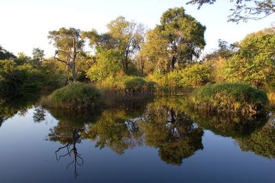 From the bird hide