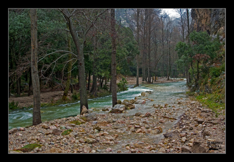 La font del Teix. Bc. de la Fou (La Snia)