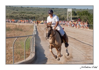 Curses de cavalls 2011. La Snia (Montsi)