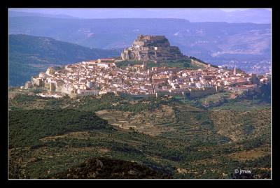 Morella