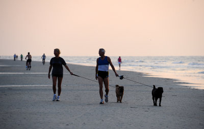 People Beach Walking