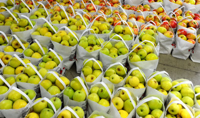 Peck of Apples Laurelville Ohio