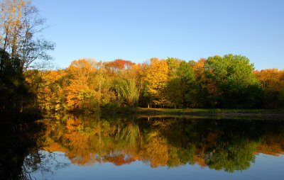 Autumn Relections Powel Crosley Lake