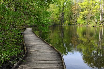 Spring Hike