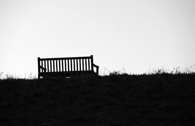 Bench on a Hill