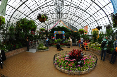 Inside the Krohn Conservatory Eden Park  Cincinnati Ohio