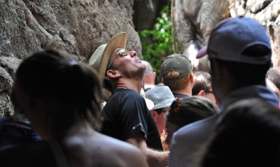 Looking Up