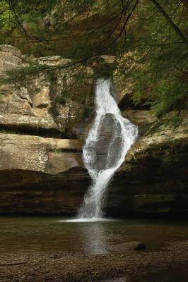 Cedar Falls Close