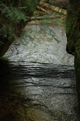 Along the Trail