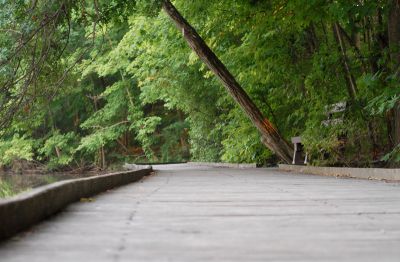 Ellen's Bench