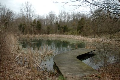 Spring Pond