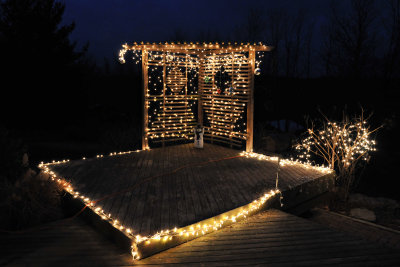 Arbor Lights