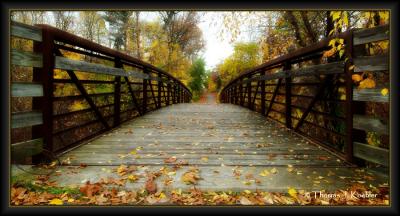 Bridge into Fall.JPG