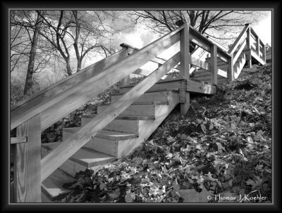 Stairs bw.JPG