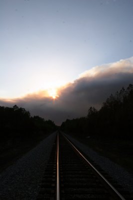 Forest Fire Smoke Plume