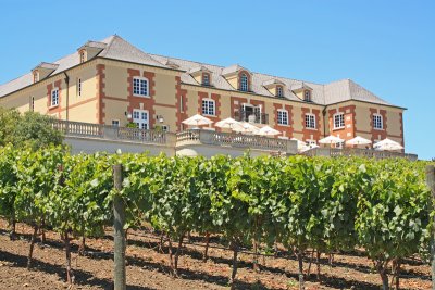 Domaine Carneros and vineyard
