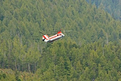 Helicopter logging in the inside passage